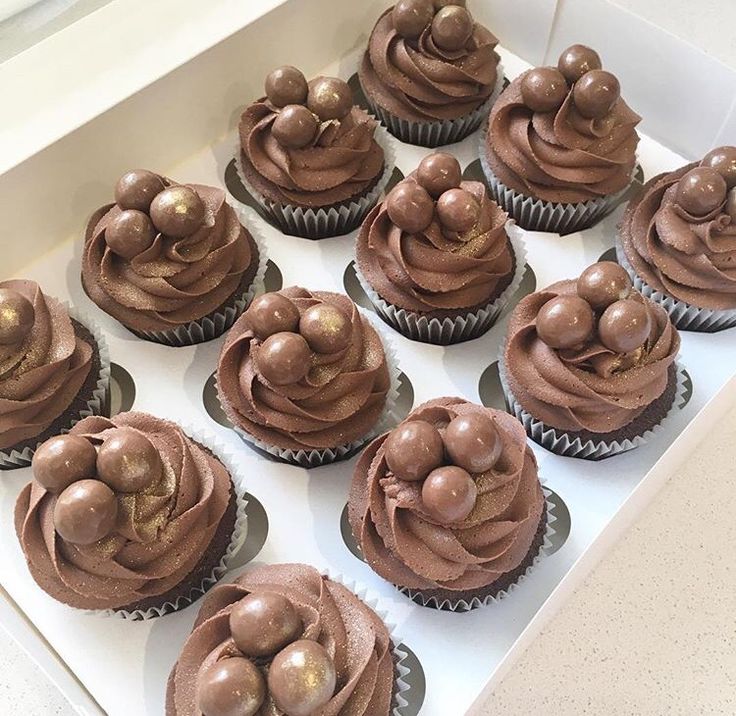 Corporate Deluxe 2 Cupcakes